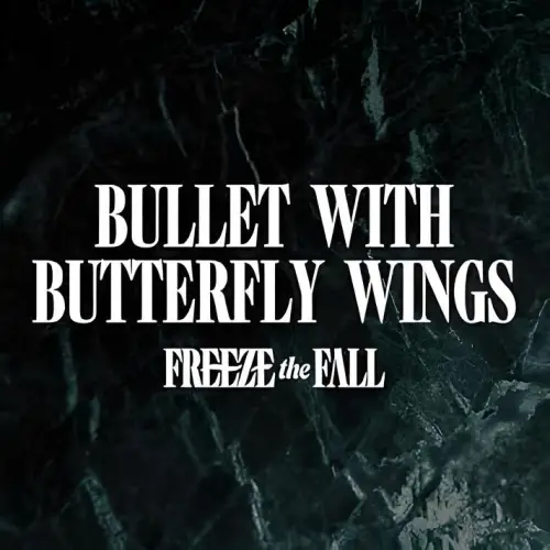 Bullet with Butterfly Wings (Live at the Revelry)
